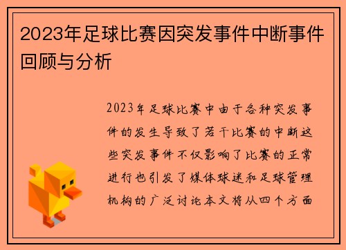 2023年足球比赛因突发事件中断事件回顾与分析
