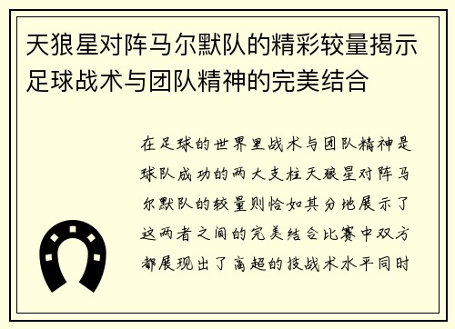 天狼星对阵马尔默队的精彩较量揭示足球战术与团队精神的完美结合