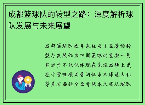 成都篮球队的转型之路：深度解析球队发展与未来展望